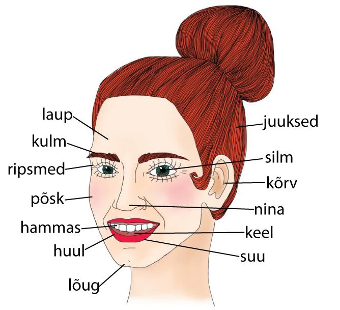 laup.jpg
