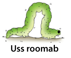 roomama.jpg