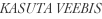 shapeimage_3_link_4