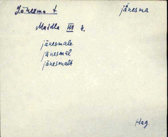 hag_eki1_a-o