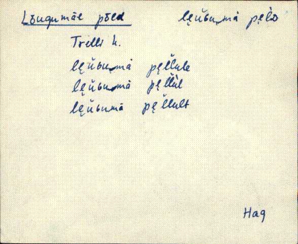 hag_eki1_a-o