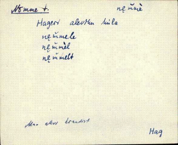 hag_eki1_a-o