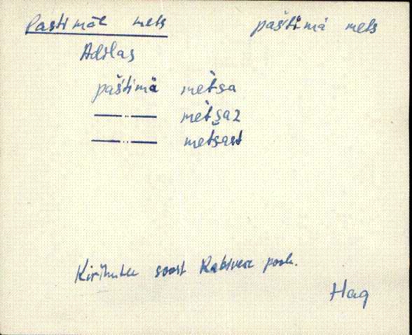 hag_eki1_p-ü