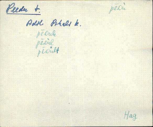 hag_eki1_p-ü