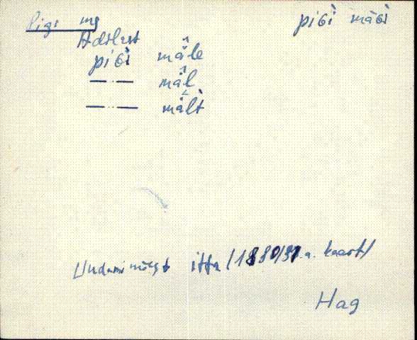 hag_eki1_p-ü