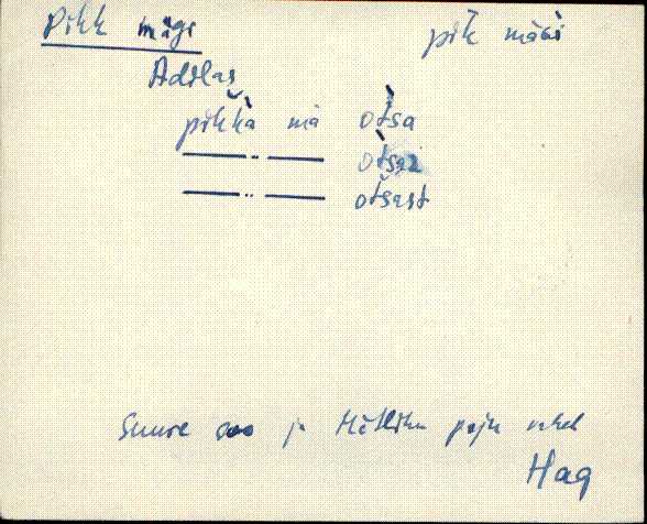hag_eki1_p-ü