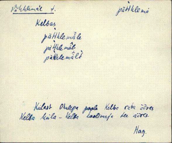 hag_eki1_p-ü