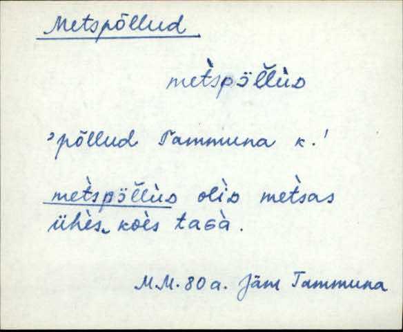 jäm_es1filmimata_a-m