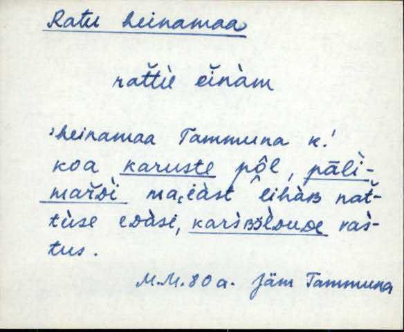 jäm_es1filmimata_n-ü