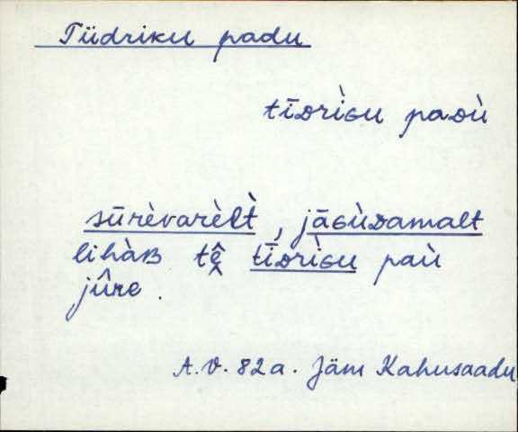 jäm_es1filmimata_n-ü