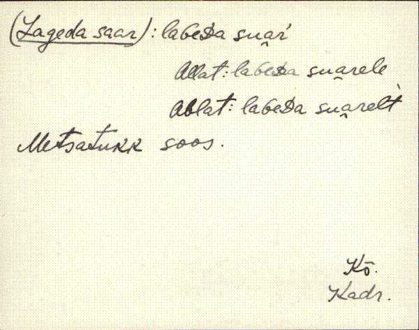 kad_eki1_l-p