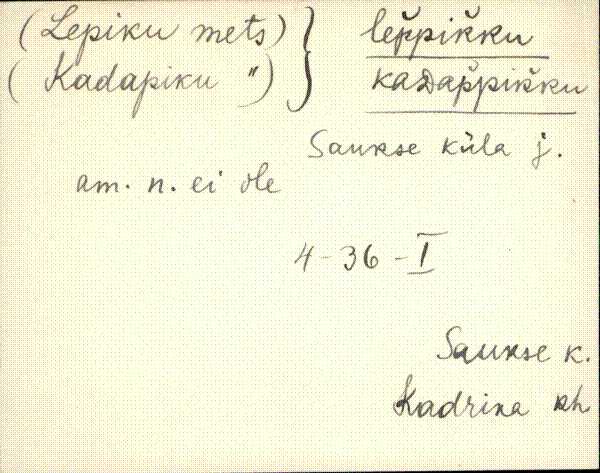kad_eki1_l-p