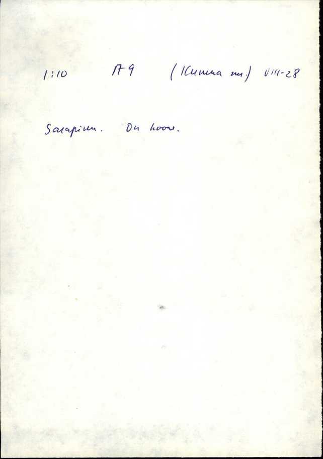 kei_varep2_kumna+1