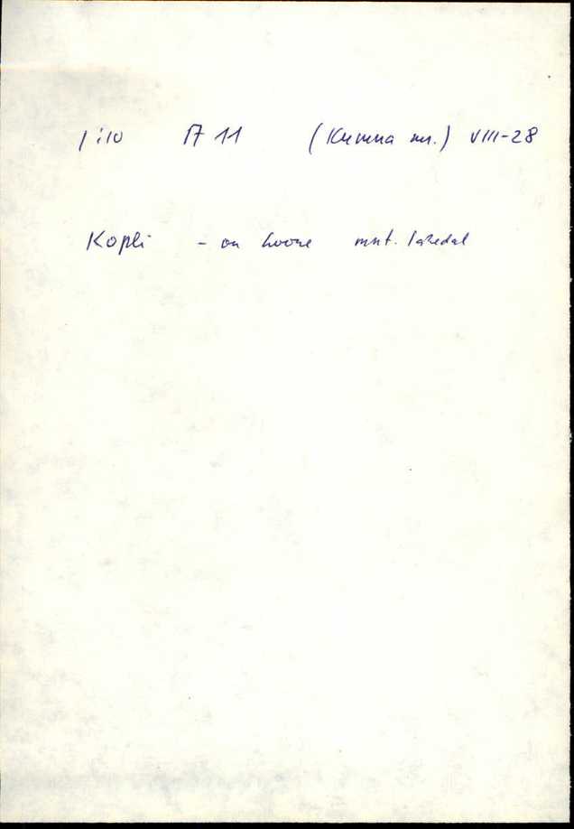 kei_varep2_kumna+1