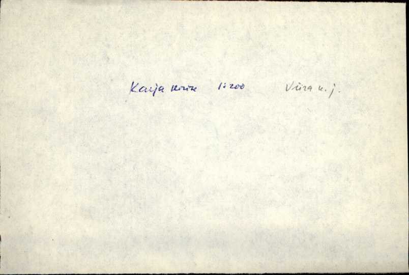 krj_varep2_leisi+kn+2