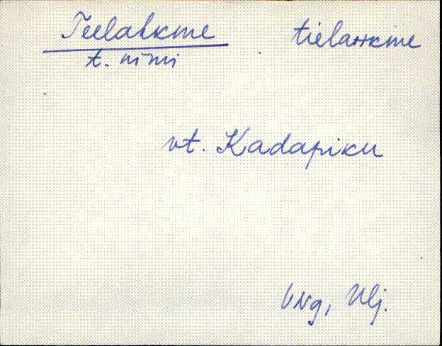 lüg_eki1_r-ü