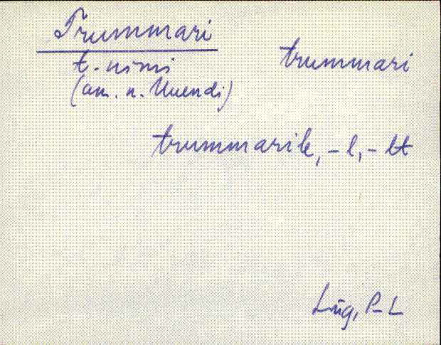 lüg_eki1_r-ü