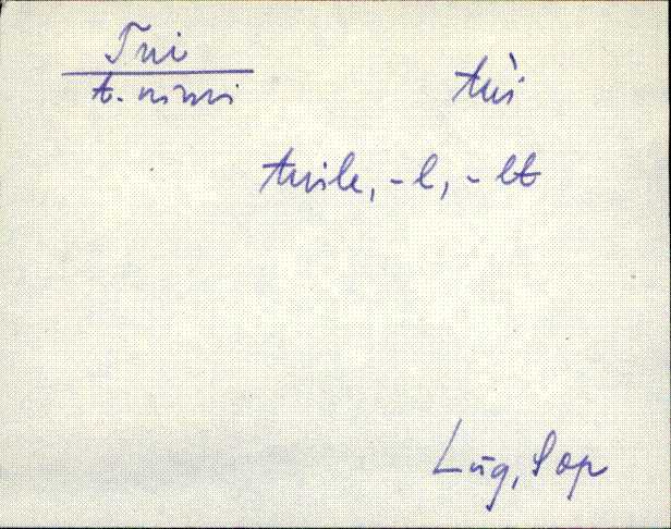 lüg_eki1_r-ü