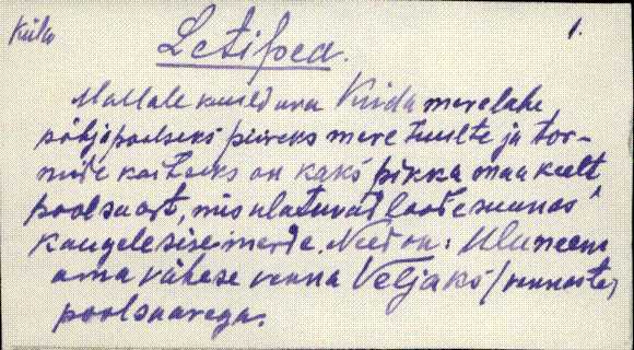 vng_es2_kkkandmata_letipea